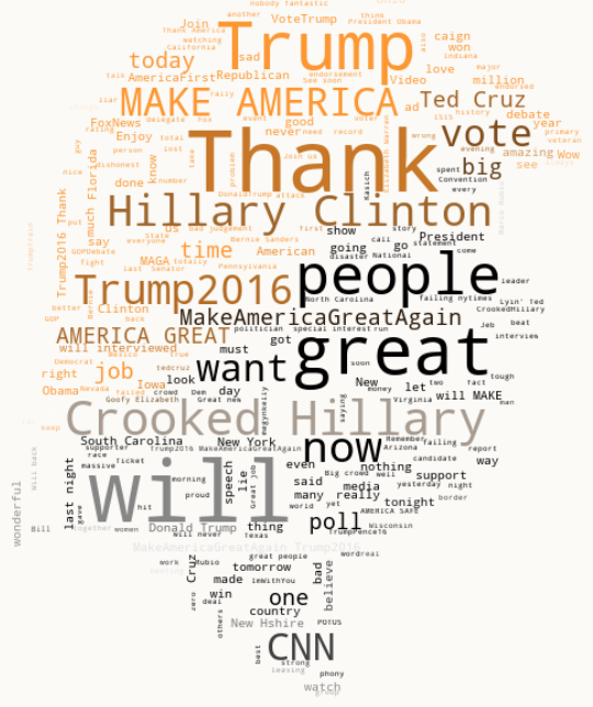 Wordcloud during campaign.